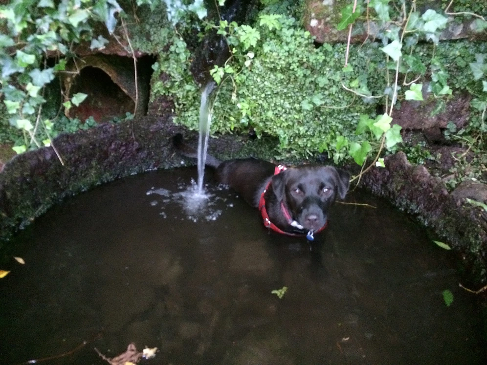 Enjoying a bath on Underhill